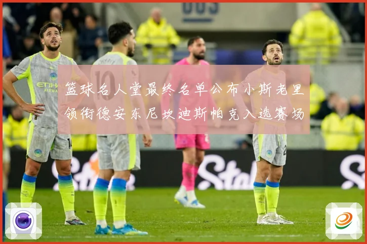 篮球名人堂最终名单公布小斯老里领衔德安东尼坎迪斯帕克入选赛场复盘-深度解析